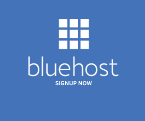 Bluehost Webhosting